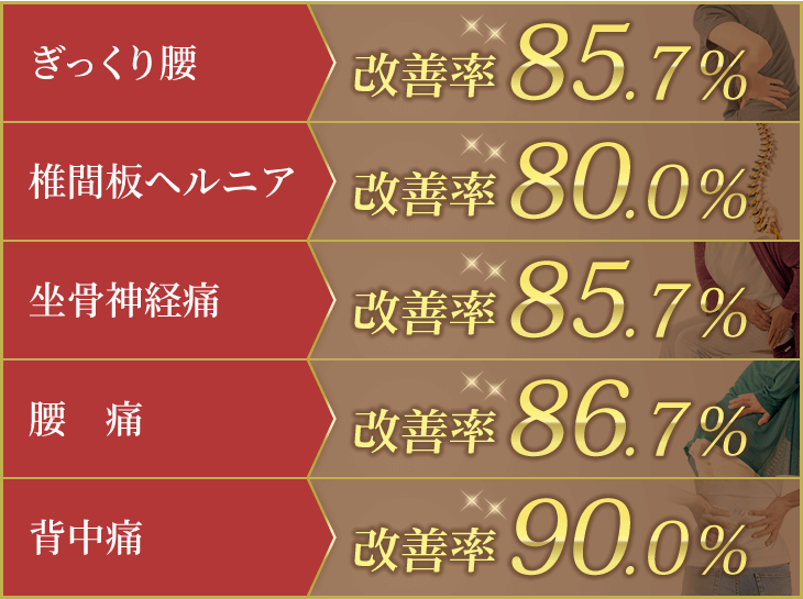 ギックリ腰…改善率85.7％、椎間板ヘルニア…改善率80.0％、坐骨神経痛…改善率85.7％、腰痛…改善率86.7％、背中痛…改善率90.0％